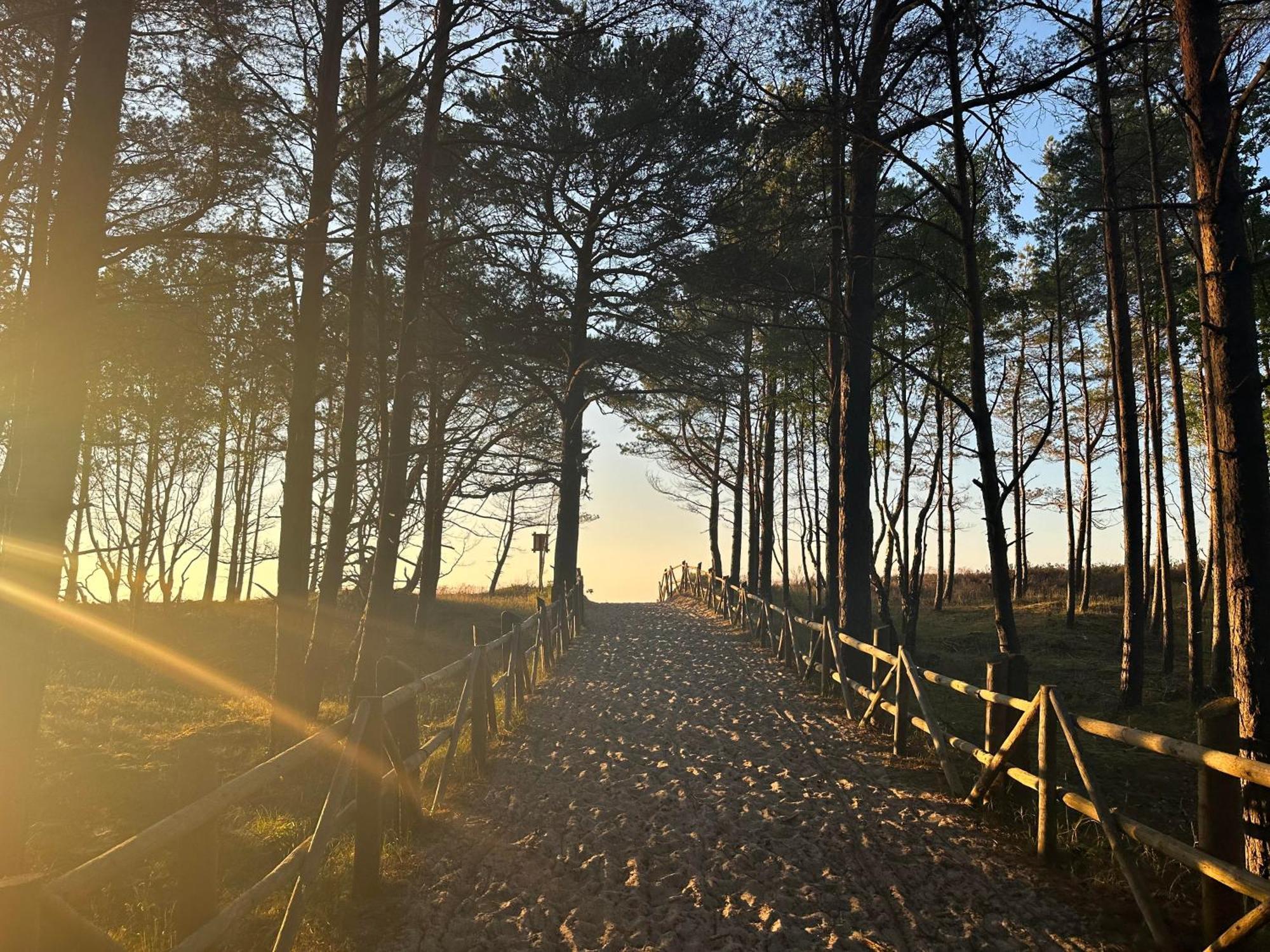 Morze2 - Domy Caloroczne Nad Morzem Lubiatowo  Exteriör bild